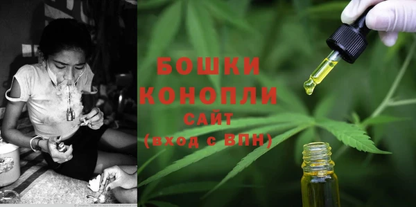 крисы Вязьма