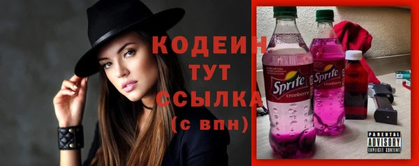 крисы Вязьма