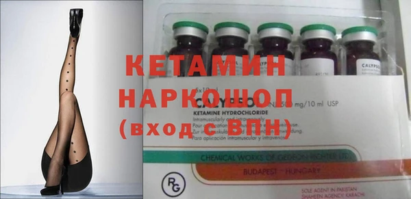 крисы Вязьма