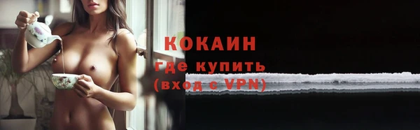 кокс Вяземский