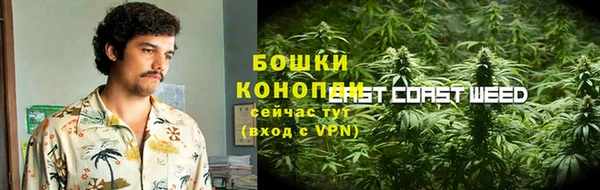 крисы Вязьма