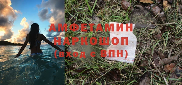 крисы Вязьма
