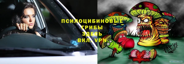 кокс Вяземский