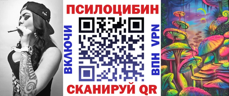 Купить  Кинель  Галлюциногенные грибы MAGIC MUSHROOMS 
